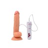 Votre site Coquin en ligne Espace Libido Vibe Realistix Gode